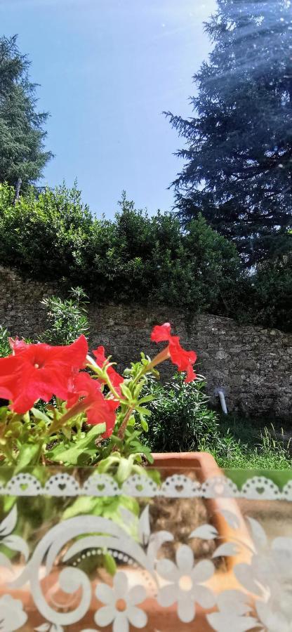 La Maison De Jardin 卢卡 外观 照片