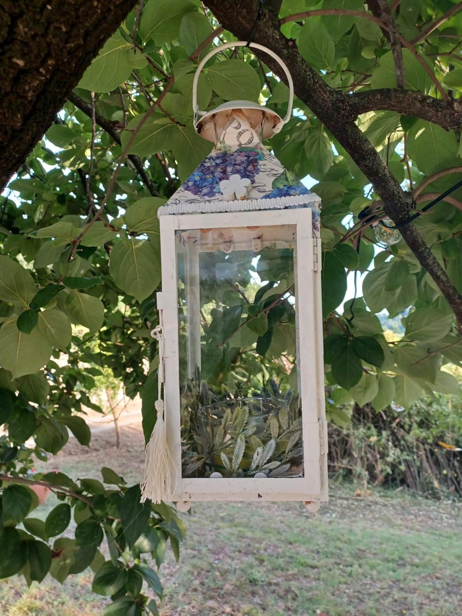 La Maison De Jardin 卢卡 外观 照片