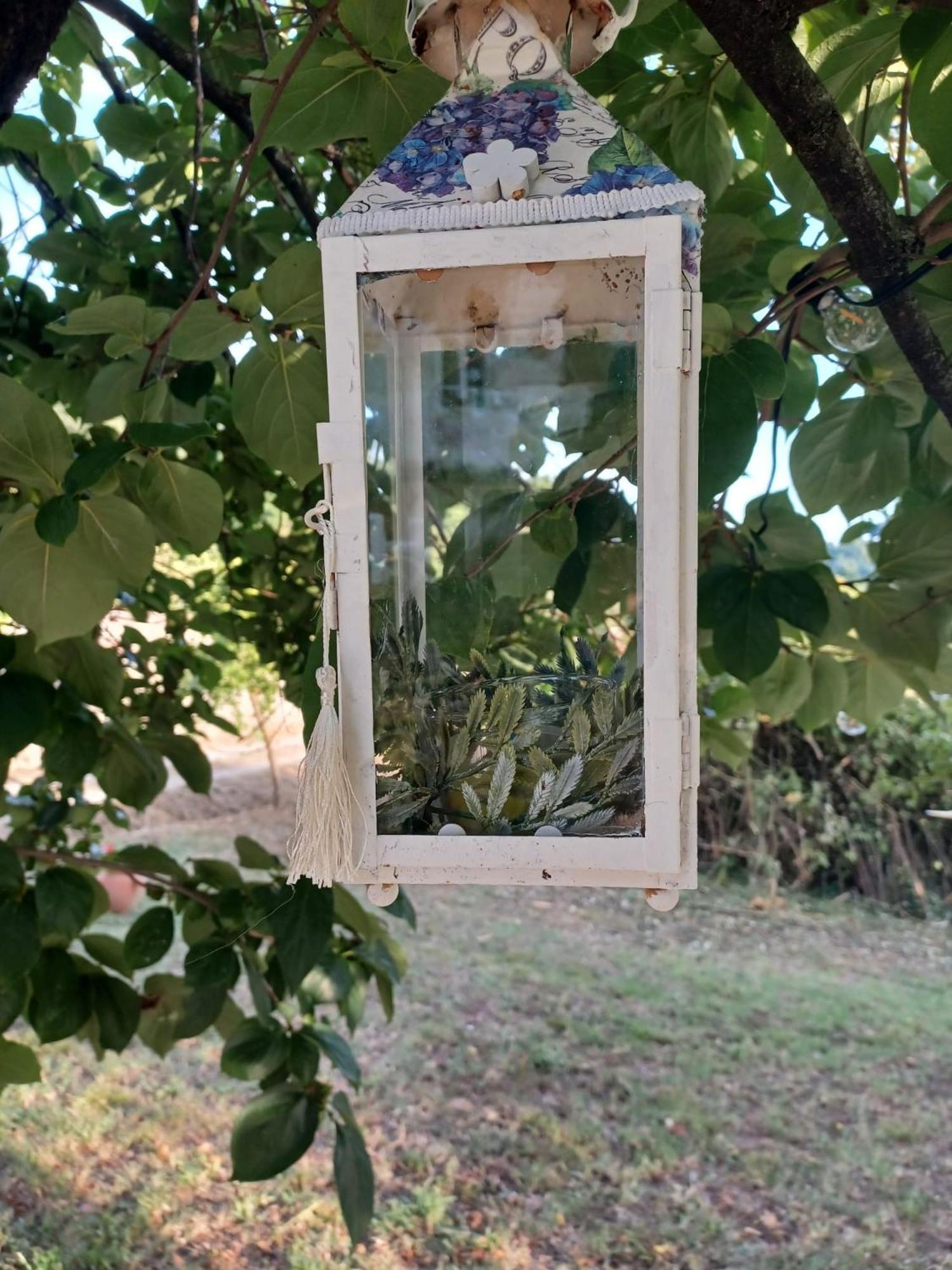 La Maison De Jardin 卢卡 外观 照片