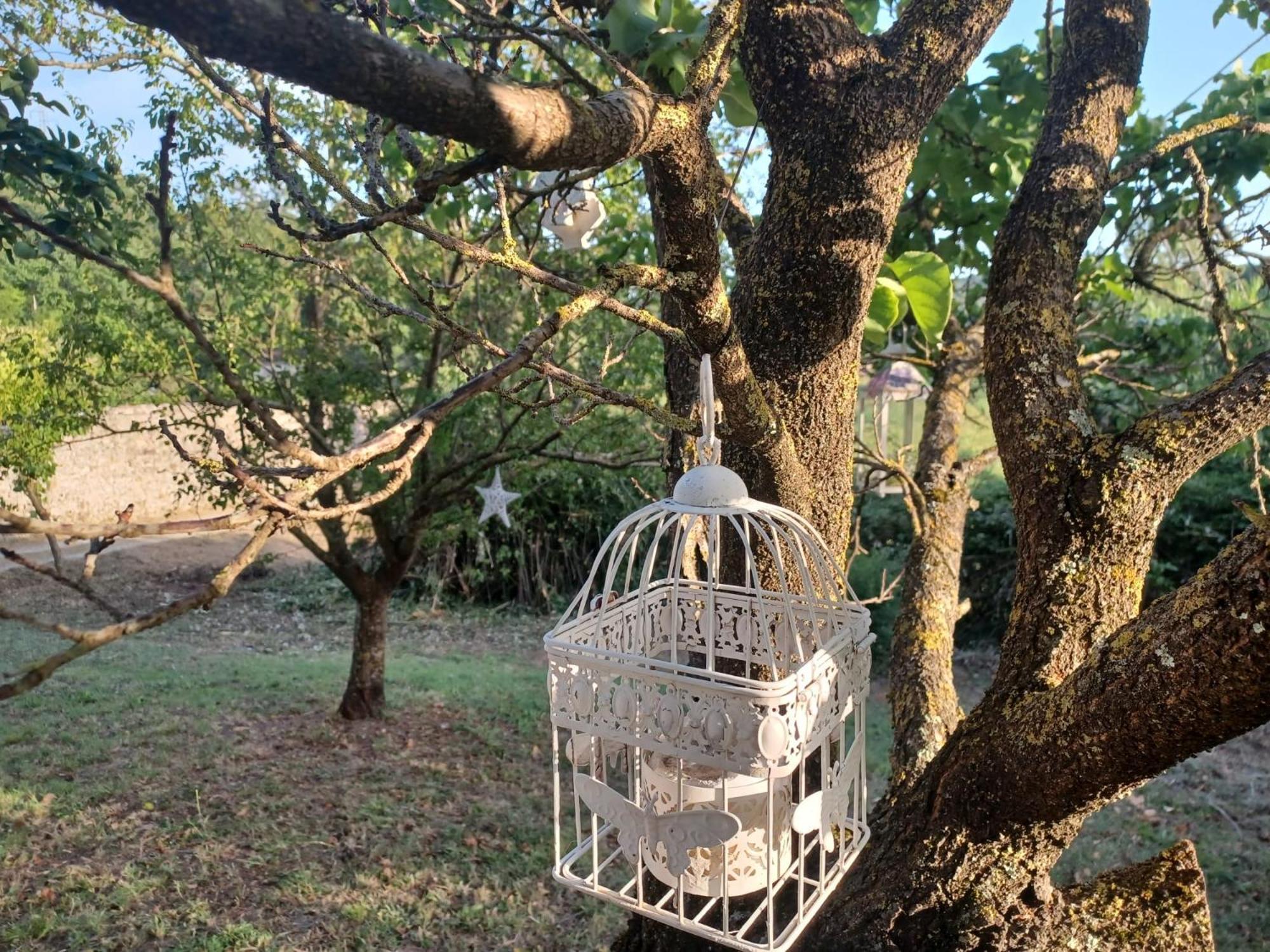 La Maison De Jardin 卢卡 外观 照片