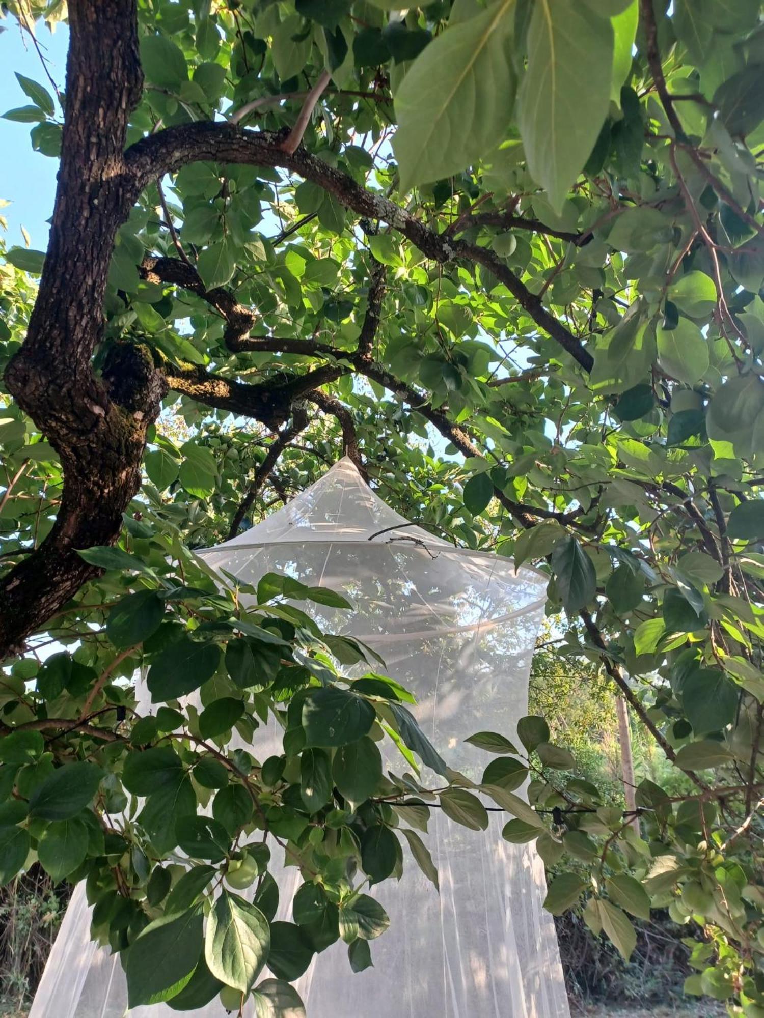 La Maison De Jardin 卢卡 外观 照片